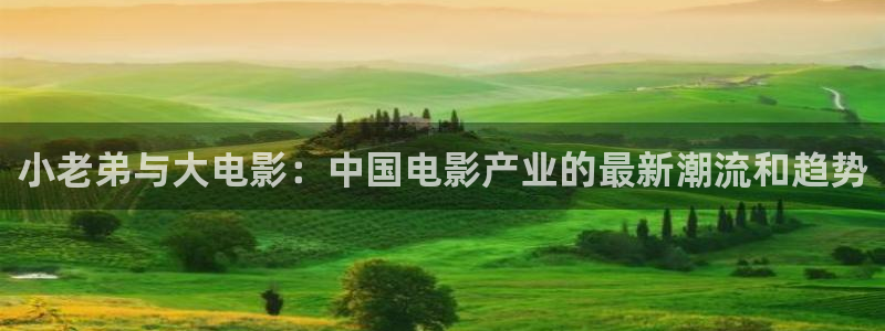 六安紅葉國(guó)際影城：小老弟與大電影：中國(guó)電影產(chǎn)業(yè)的最新潮流和趨勢(shì)