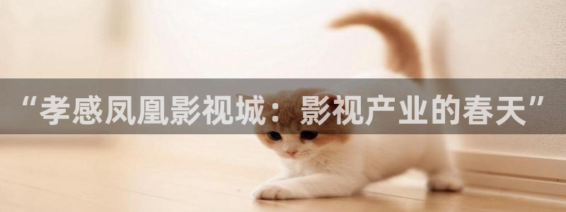 紅葉影視：“孝感鳳凰影視城：影視產業(yè)的春天”