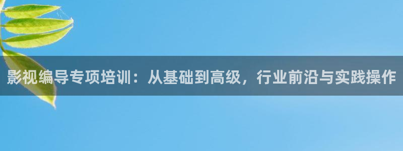 紅葉影院免費觀看電視?。河耙暰帉ｍ椗嘤枺簭幕A到高級，行業(yè)前沿與實踐操作
